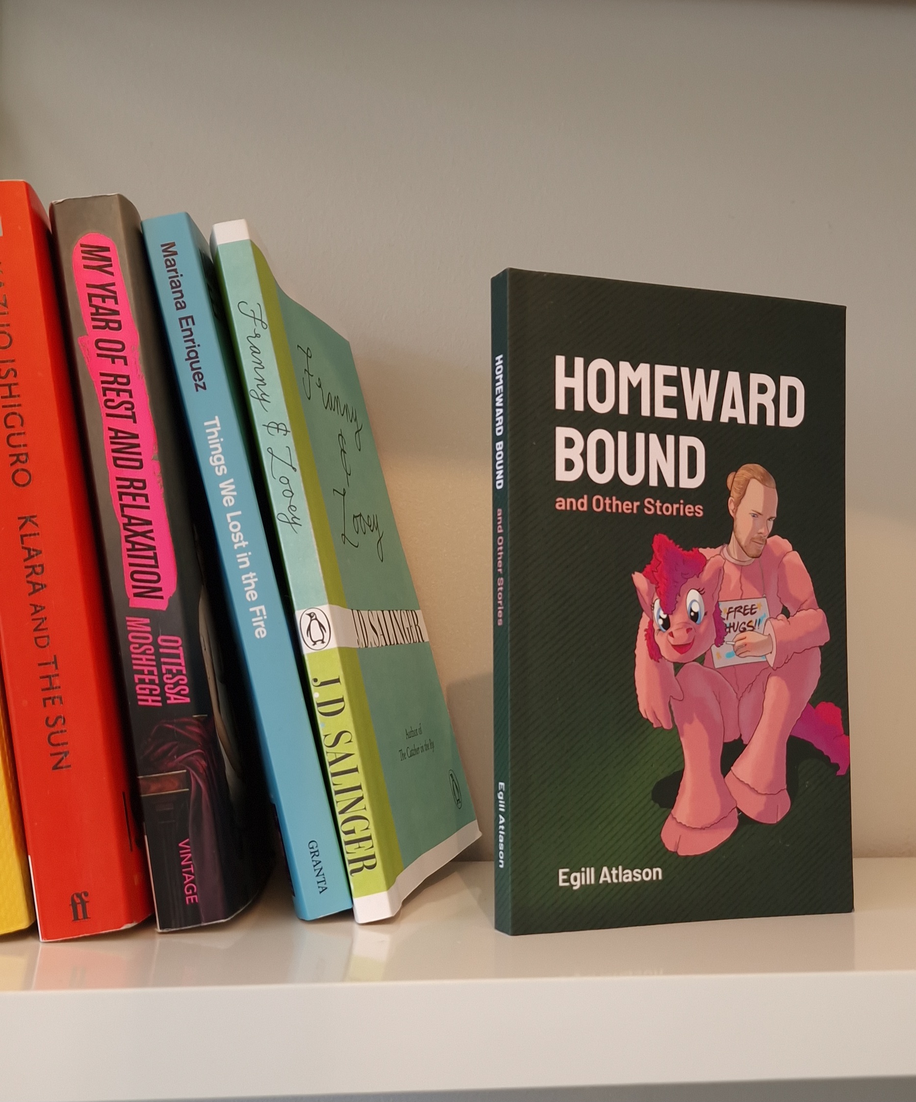 Homeward Bound and Other Stories on a shelf with other books.